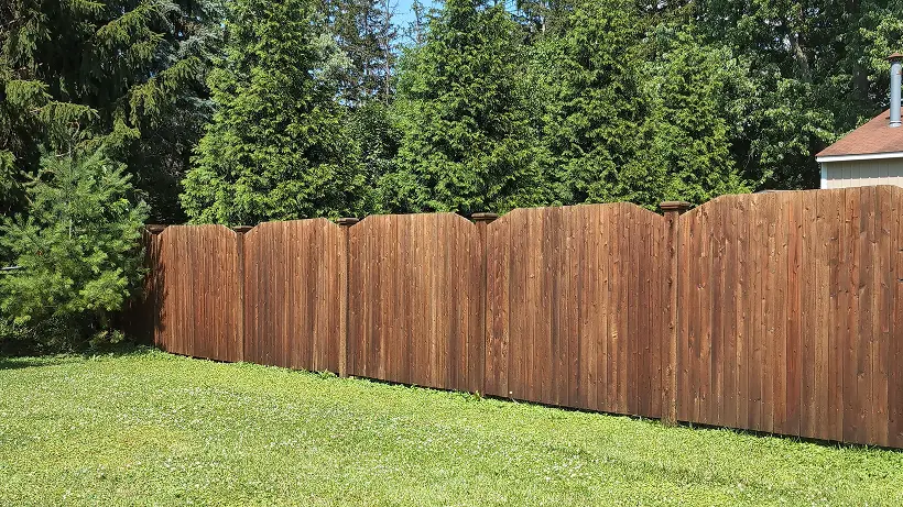Professional painting project — Stained Dark Brown Wood Fence